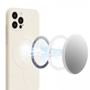 المنتجات الجلدية المغناطيس